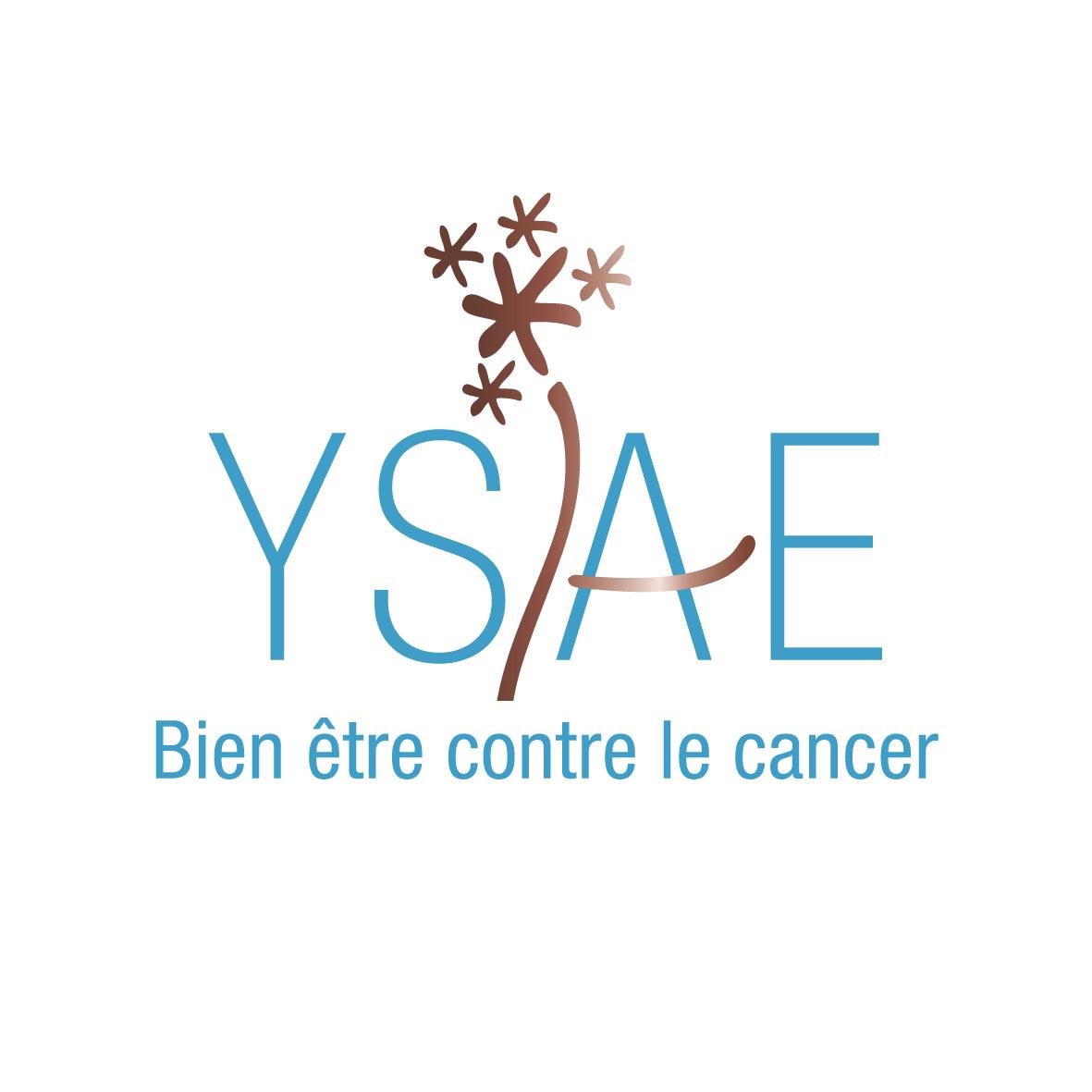 Logo ysae sans cartouche 02 2021